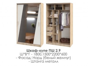 шкаф-купе ПШ-2.9 1500 Норд Белый жемчуг 1500 в Кыштыме - kyshtym.magazin-mebel74.ru | фото